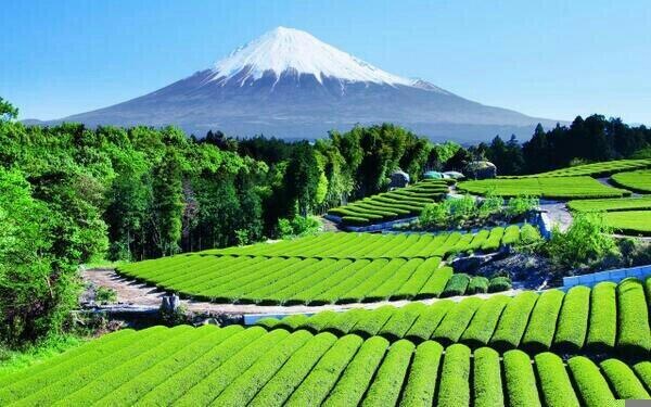 お盆の時期に想うこと