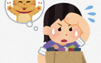 生前葬は個人でも出来ます！