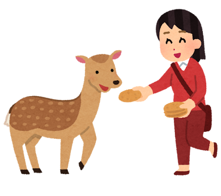 奈良の鹿