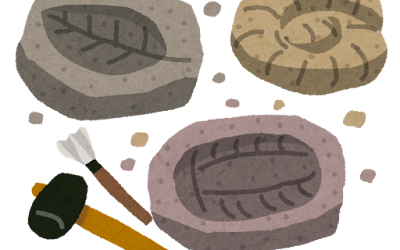 プロトタキシーテス